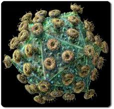 Nga phát hiện biến thể HIV mới